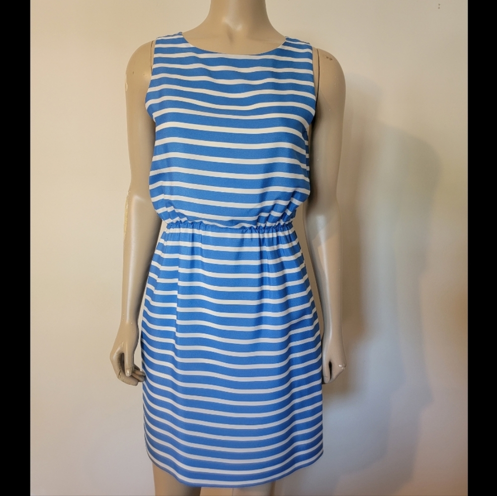 J.Crew Striped Blue and White Dress